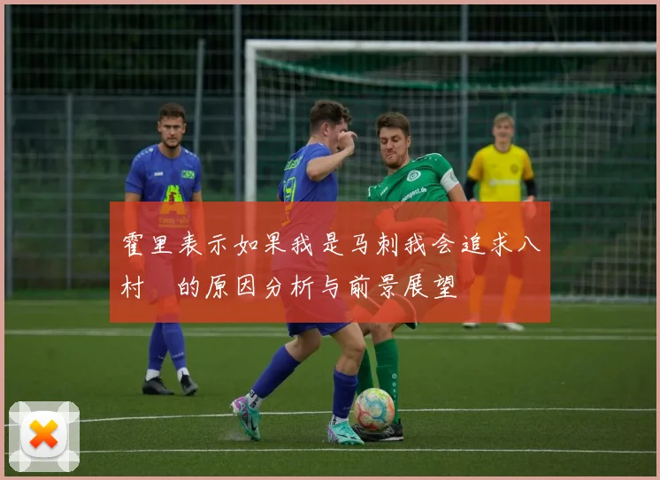 霍里表示如果我是马刺我会追求八村塁的原因分析与前景展望